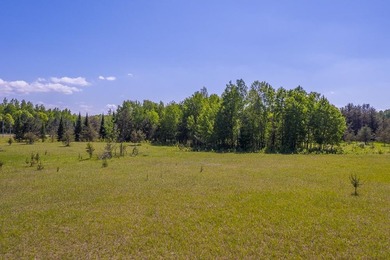 Take advantage of this rare opportunity to own acreage and lake - photo 7