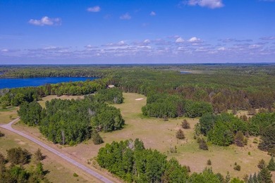 Take advantage of this rare opportunity to own acreage and lake - photo 9