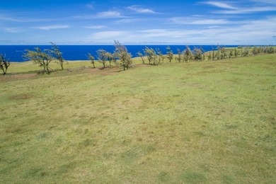 Oceanfront acreage adjacent to a paved airstrip! Located on the - photo 2