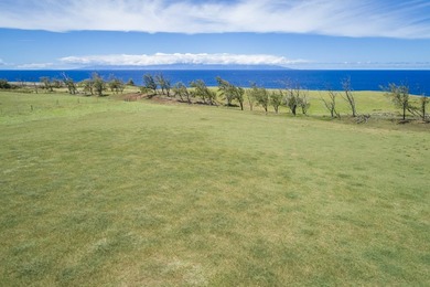 Oceanfront acreage adjacent to a paved airstrip! Located on the - photo 3