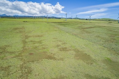 Oceanfront acreage adjacent to a paved airstrip! Located on the - photo 5