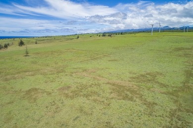 Oceanfront acreage adjacent to a paved airstrip! Located on the - photo 6