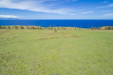 Oceanfront acreage adjacent to a paved airstrip! Located on the - photo 7