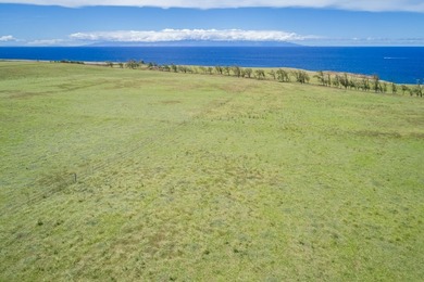 Oceanfront acreage adjacent to a paved airstrip! Located on the - photo 8