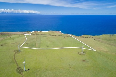 Oceanfront acreage adjacent to a paved airstrip! Located on the - photo 10