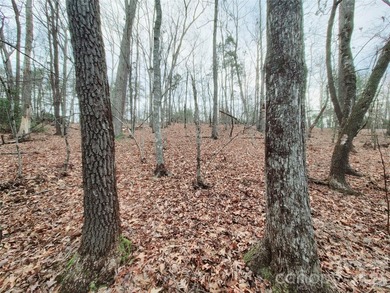 Tucked inside the gated community of Riverbend at Lake Lure