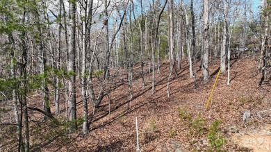 Tucked inside the gated community of Riverbend at Lake Lure