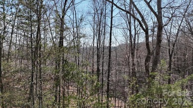 Tucked inside the gated community of Riverbend at Lake Lure