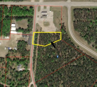 Higgins Lake Commercial For Sale in Roscommon Michigan