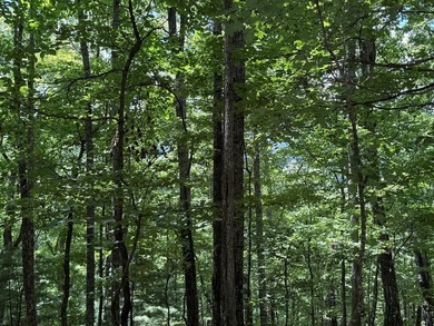 Lake Blue Ridge Acreage For Sale in Blue Ridge Georgia