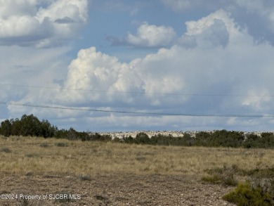 Lake Farmington Acreage For Sale in Farmington New Mexico