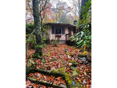 Blue Ridge Lake Home For Sale in Lake Toxaway North Carolina