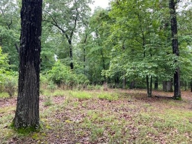 Bull Shoals Lake Lot For Sale in Bull Shoals Arkansas