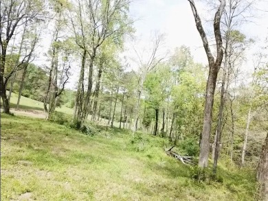 Lake Lot For Sale in Jasper, Alabama