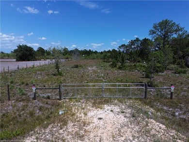 Lake Istokpoga Lot For Sale in Lorida Florida