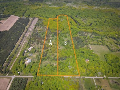 Lake Acreage Sale Pending in Custer, Michigan