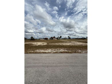 Build Your Dream Home in NW Cape Coral! Excellent opportunity to - photo 3