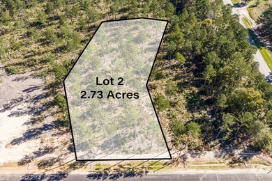 Welcome to Appling, Georgia's premier new luxury community! This - photo 1