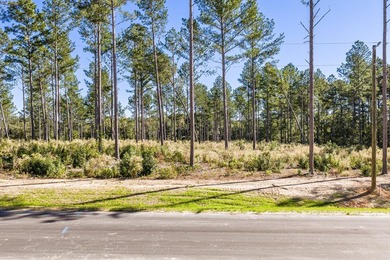 Welcome to Appling, Georgia's premier new luxury community! This - photo 5