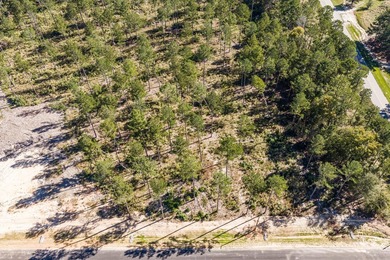 Welcome to Appling, Georgia's premier new luxury community! This - photo 6