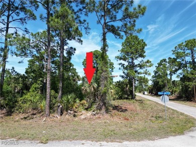 Lehigh Acres Area Lot For Sale in Lehigh Acres Florida