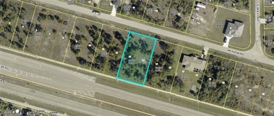 Lehigh Acres Area Lot For Sale in Lehigh Acres Florida