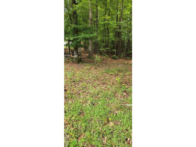 Great lot in Lake Gaston Estates ready for your home and - photo 11