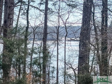 Lake Lot For Sale in Lavonia, Georgia