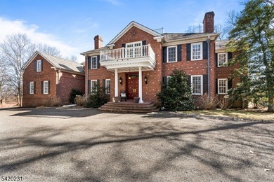 This stately, European-style brick home with striking - photo 2