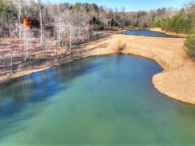 Lake Blue Ridge Home For Sale in Blue Ridge Georgia
