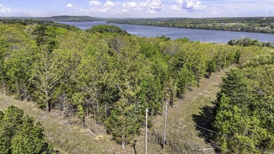 6 acres on Lake Dardanelle! Beautiful wooded tract with privacy - photo 3