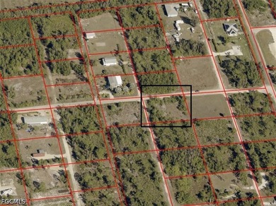 Oversized .46-Acre Lot in Flood Zone X - Build Your Pine Island - photo 3