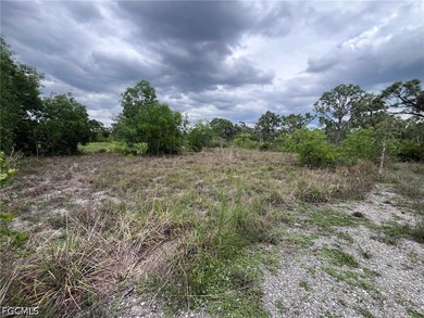 Oversized .46-Acre Lot in Flood Zone X - Build Your Pine Island - photo 4