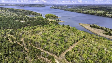 6 acres on Lake Dardanelle! Beautiful wooded tract with privacy - photo 5