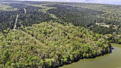 6 acres on Lake Dardanelle! Beautiful wooded tract with privacy - photo 6
