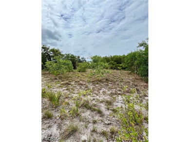 Oversized .46-Acre Lot in Flood Zone X - Build Your Pine Island - photo 6