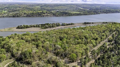 6 acres on Lake Dardanelle! Beautiful wooded tract with privacy - photo 8