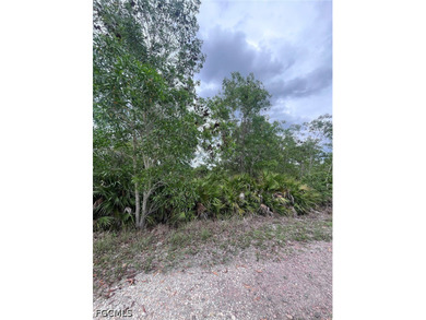 Oversized .46-Acre Lot in Flood Zone X - Build Your Pine Island - photo 8