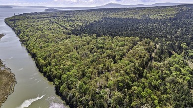 6 acres on Lake Dardanelle! Beautiful wooded tract with privacy - photo 9