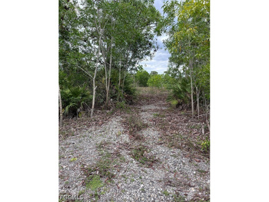 Oversized .46-Acre Lot in Flood Zone X - Build Your Pine Island - photo 9
