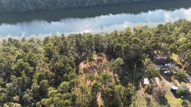Lake Acreage For Sale in London, Arkansas