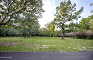 Gorgeous, centuries-old majestic oaks line these level, one-acre - photo 3