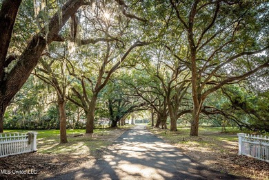 Gorgeous, centuries-old majestic oaks line these level, one-acre - photo 8