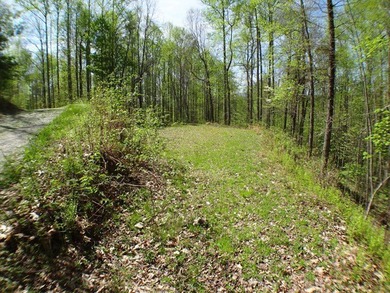 Come home to the peace and quiet of Windy Ridge where the - photo 6