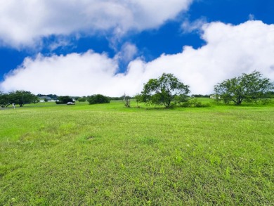Big Texas Skies - Lakeside Homesite in Desired Subdivision - photo 7