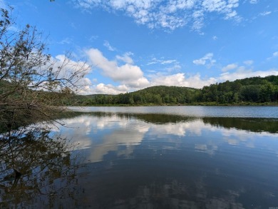 Lake Acreage For Sale in Shirley, Arkansas