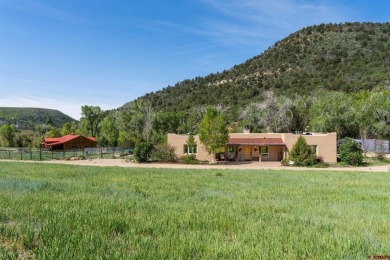 Lake Home For Sale in Hesperus, Colorado