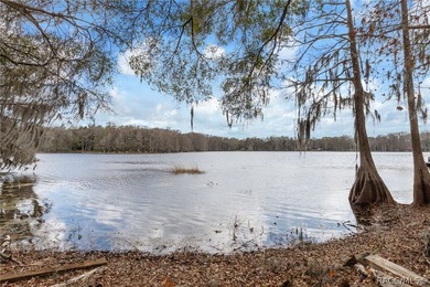 HOT NEW PRICE- NOW'S YOUR CHANCE!! Here's your opportunity to - photo 31