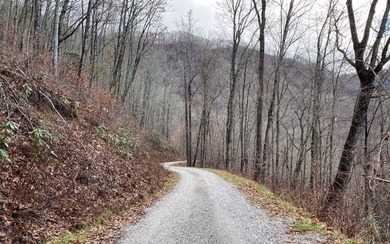 Set amid the natural beauty of the Nantahala Mountains, this 1 - photo 6