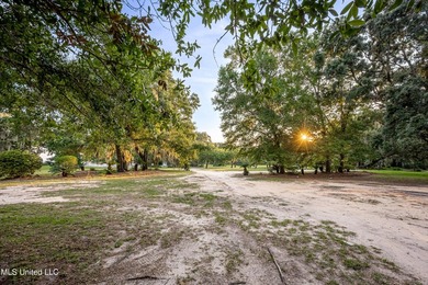 Gorgeous, centuries-old majestic oaks line these level, one-acre - photo 2